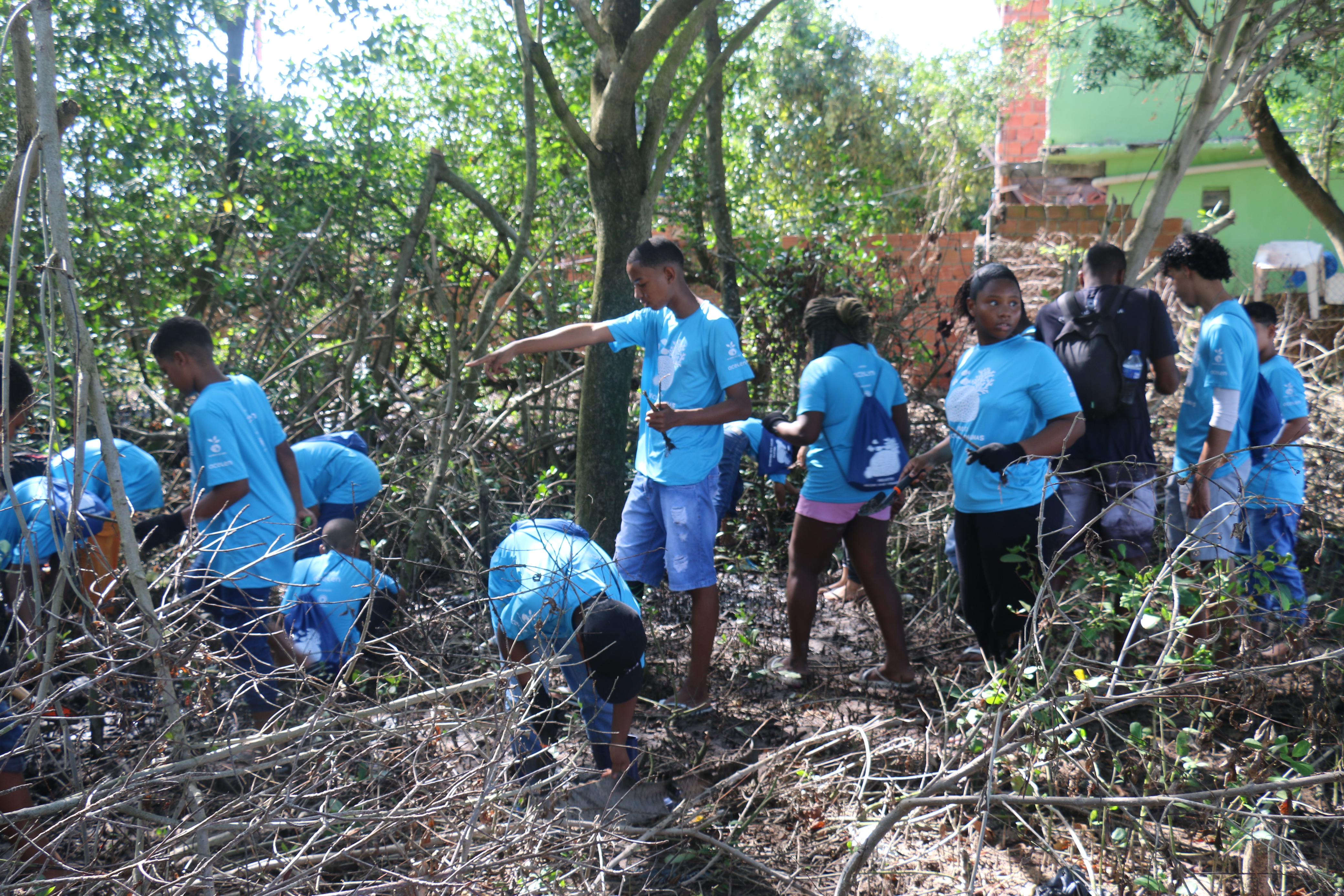 Estudantes de São Francisco do Conde concluem projeto com plantio de 650 mudas de mangue